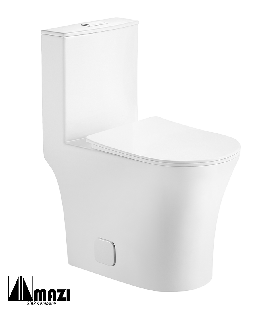 ZeroSink Ceramic Toilet BL-105 - Premium Gallery View