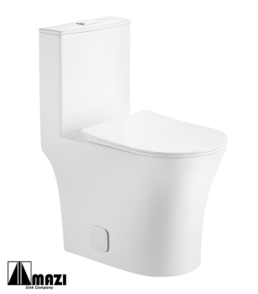 ZeroSink Ceramic Toilet BL-105 - Premium Gallery View