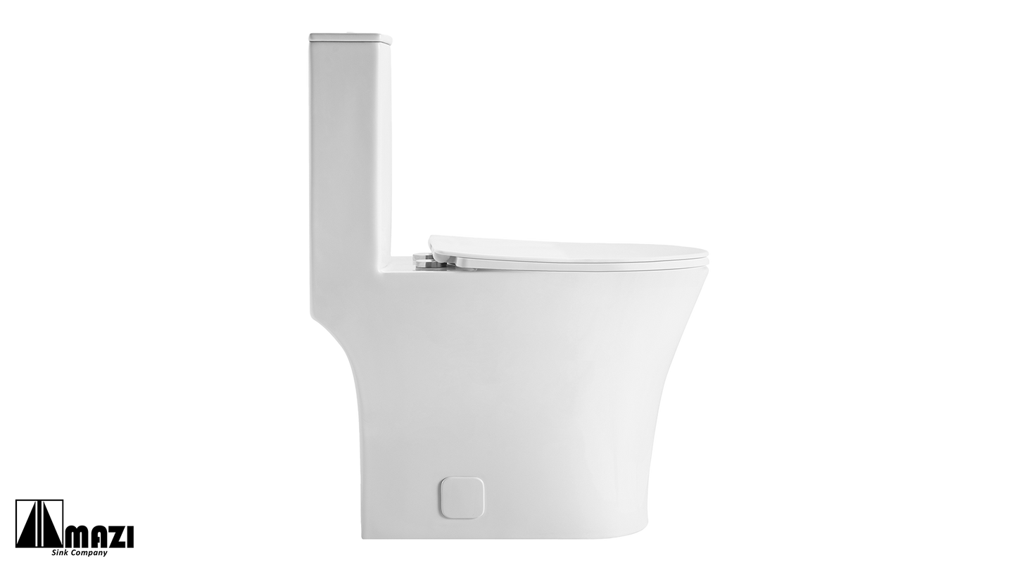 ZeroSink Ceramic Toilet BL-105 - Premium Gallery View