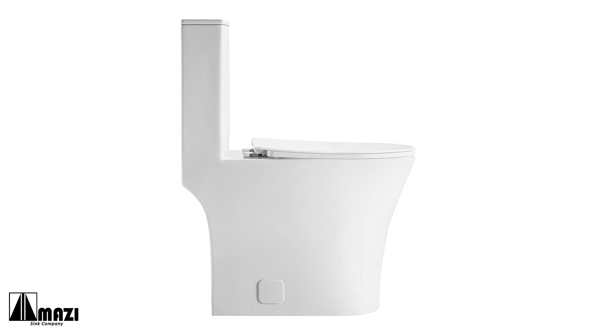ZeroSink Ceramic Toilet BL-105 - Premium Gallery View