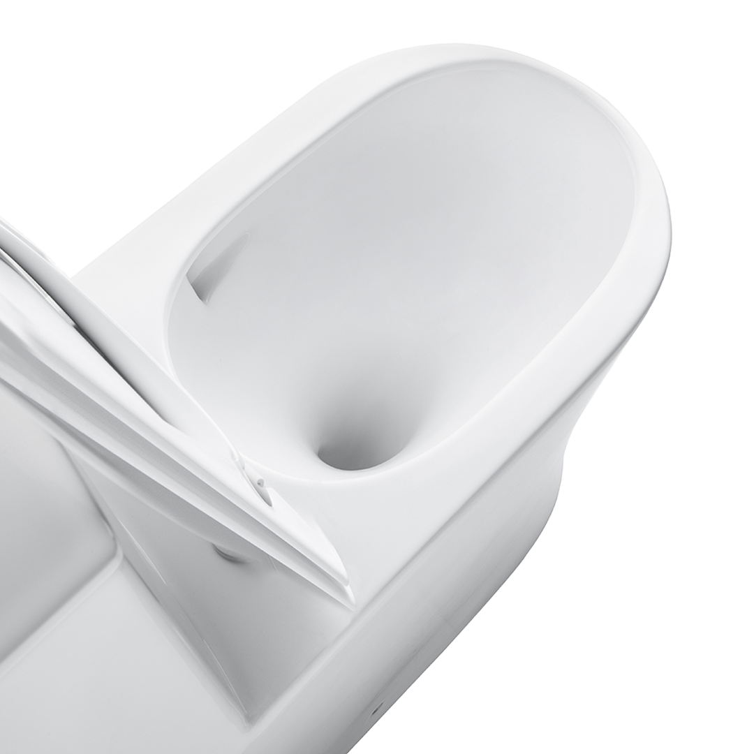 ZeroSink Ceramic Toilet BL-105 - Premium Gallery View