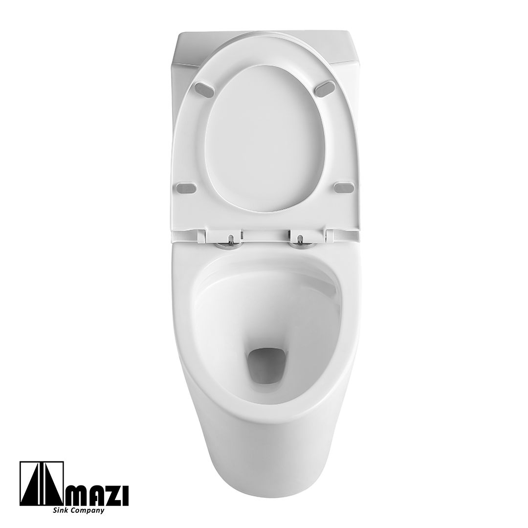 ZeroSink Ceramic Toilet BL-151 - Premium Gallery View