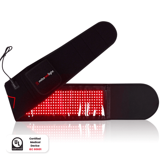 ZeroSink ZeroSinkQUAD™ Wavelength Belt | Hands Free Red Light Therapy - Premium Gallery View